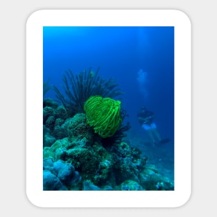 Coral reef and scuba diver Sticker